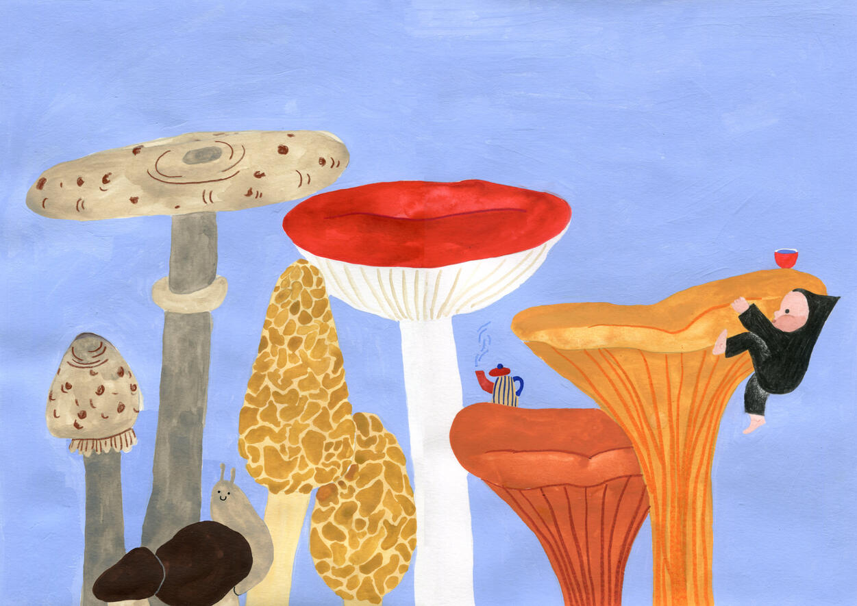 Judyta Jang - illustration Judyta Jang - illustration